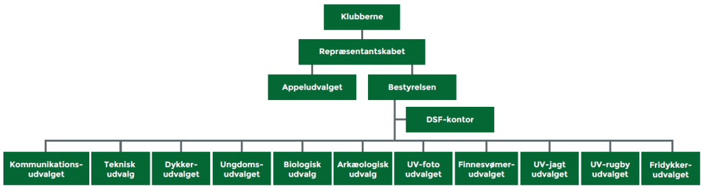 DSF-organisation